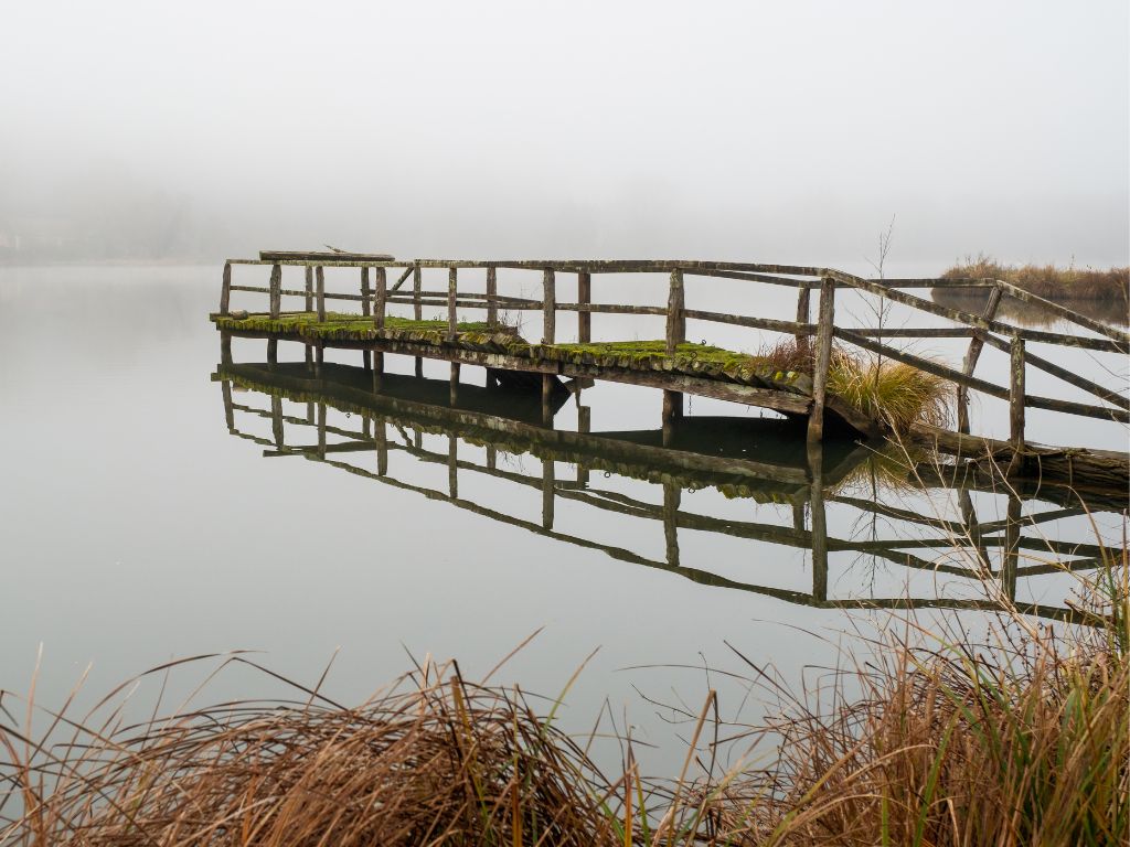 A weathered wooden footbridge covered in moss stands over calm water, reflecting its image. Reeds and fog blur the background.