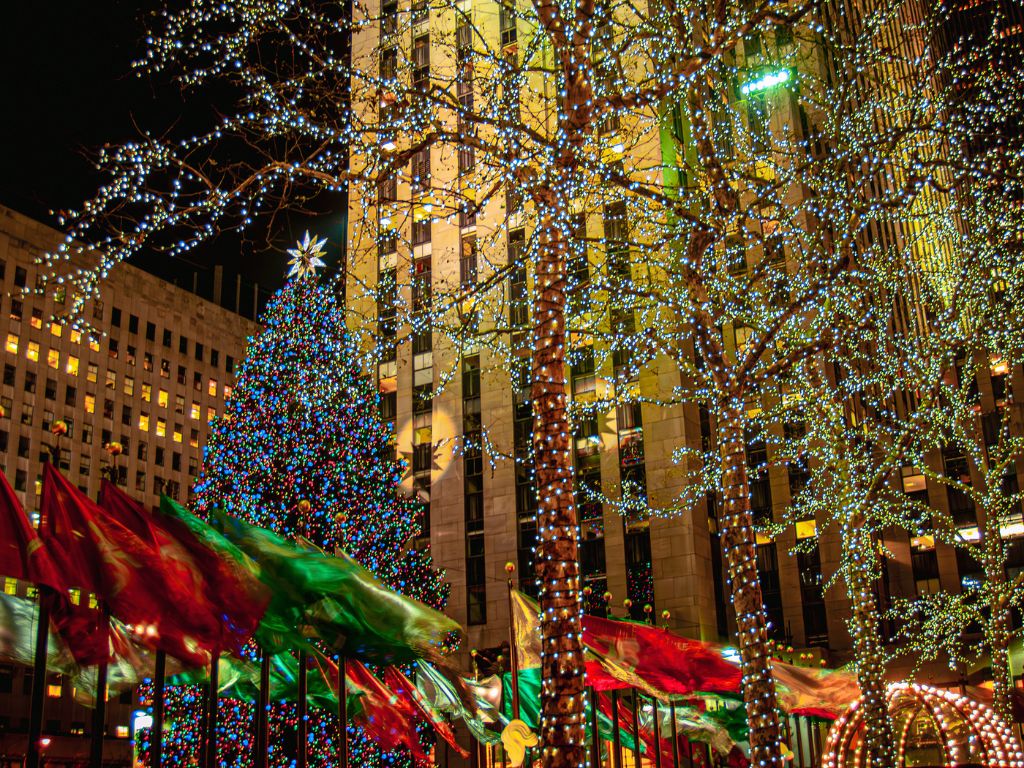 A large outdoor Christmas tree and nearby trees lit up in a city plaza at night.