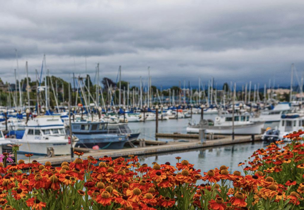 An artistic photo of the city of Bellingham and its marina full of Washington fishing charters. 