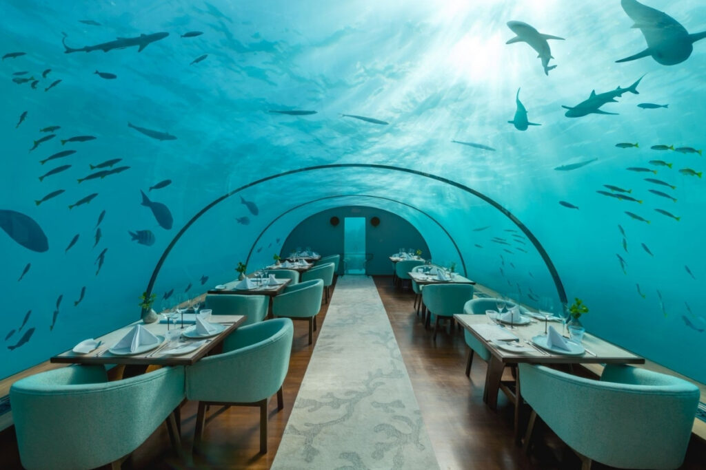 Underwater restaurant with glass walls and ceiling, giving a boat dining vibe as diners watch Fish and Sharks swim above and around tables set along a carpeted aisle.