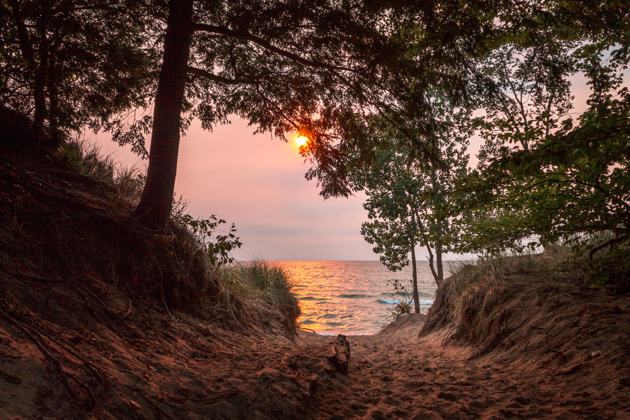 A sandy path winds through trees to a lake at sunset. The sun is reflecting on the water and an orange-pink sky.