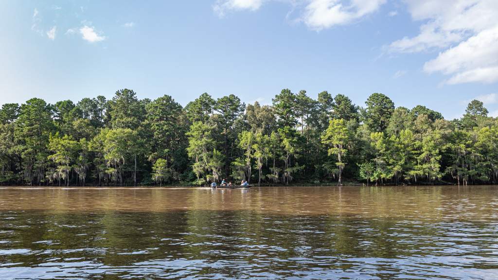 There's a wide river with calm water in the foreground, and a dense line of green trees along the opposite bank beneath a partly cloudy sky. You can see a small boat near the trees.