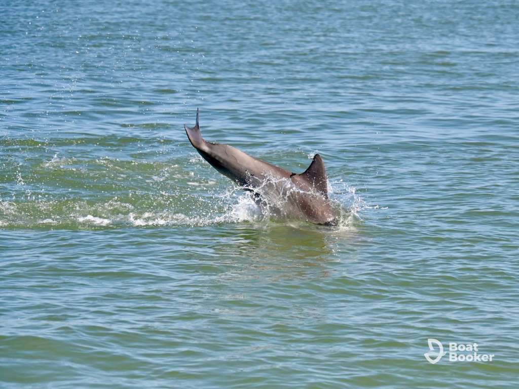 Family-friendly boat adventure on Florida's warm waters