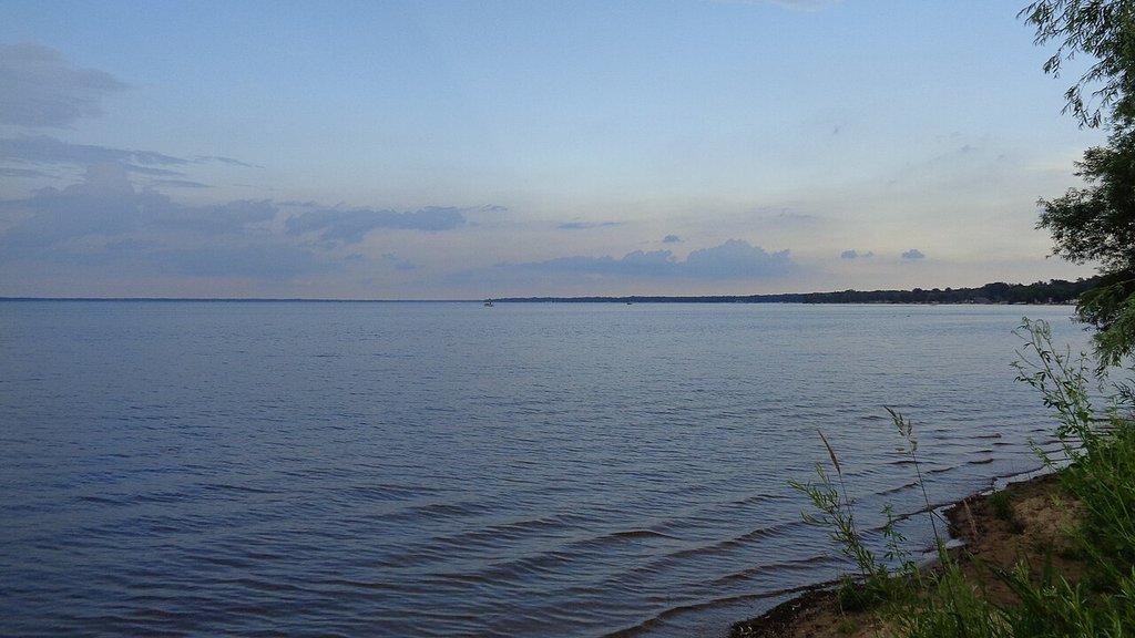 There's a calm lake with gentle waves, a distant shoreline, and a cloudy sky at dusk. Green plants line the water's edge in front. No fish or species' names are visible in this scene.
