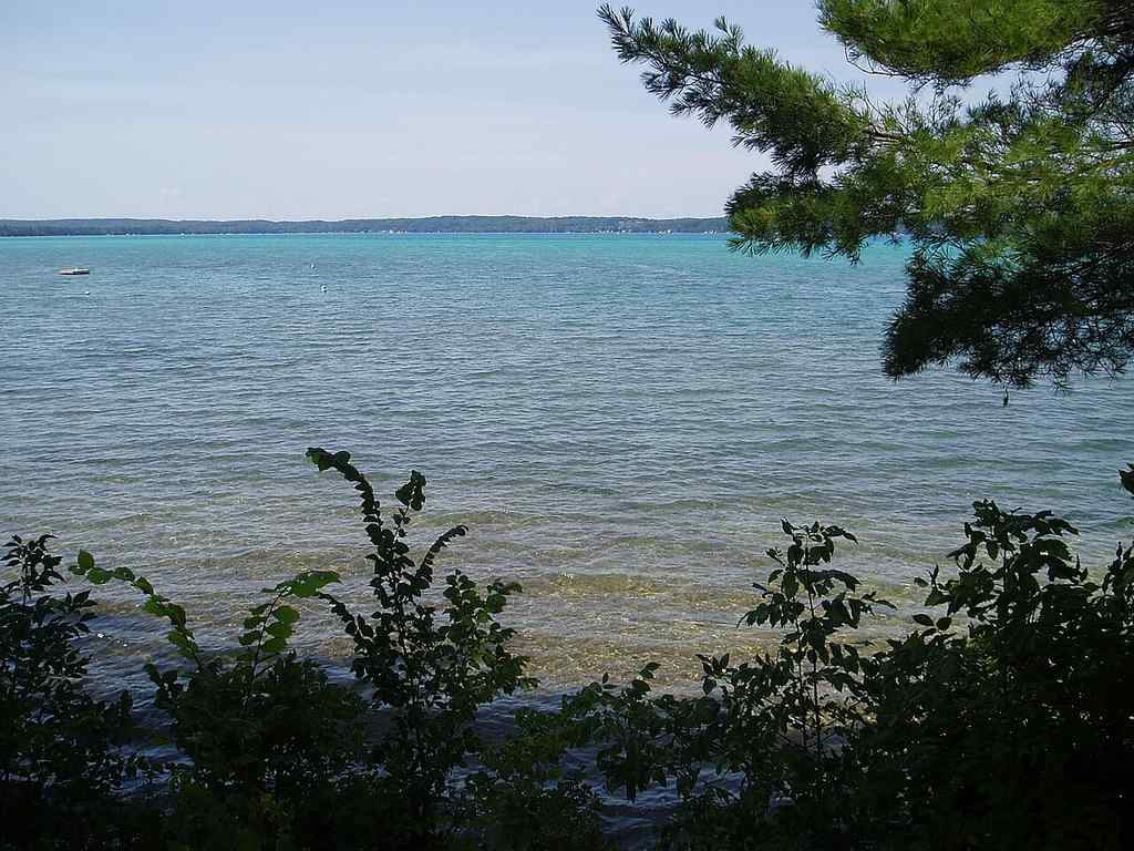 You're looking at a clear blue lake with a distant shoreline, framed by leafy green plants and a Pine branch in the front.