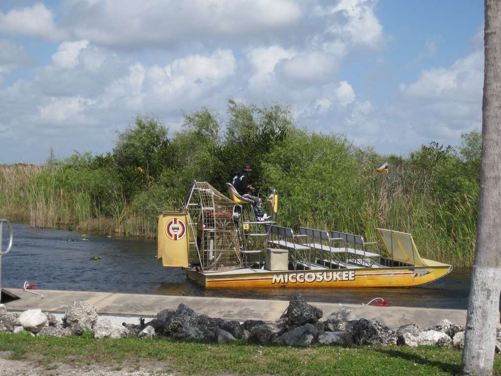 Airboat with passengers gliding through the Florida Everglades marsh