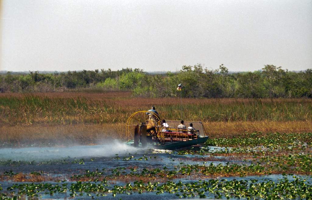 Airboat on shallow Everglades water with propeller cage visible