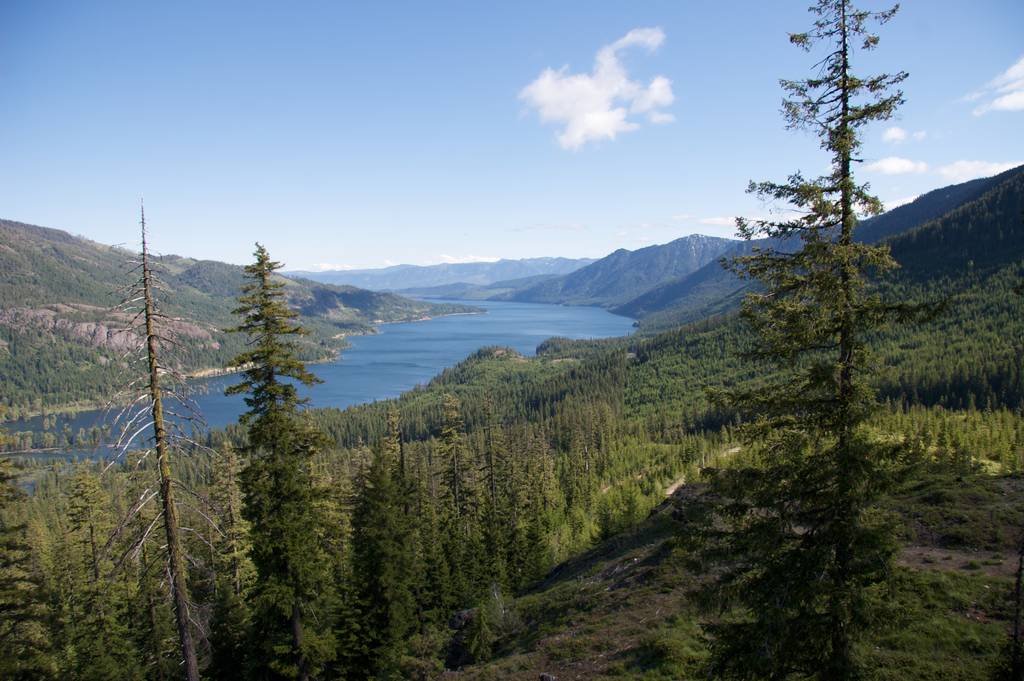You’ll see tall pine trees in front and a sparkling mountain lake—one of Washington State’s top boating lakes—set beneath a clear blue sky.