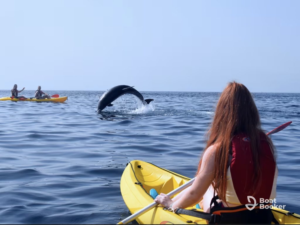 A person in a yellow kayak watches a Dolphin leap from the water while two others paddle nearby under a clear sky.