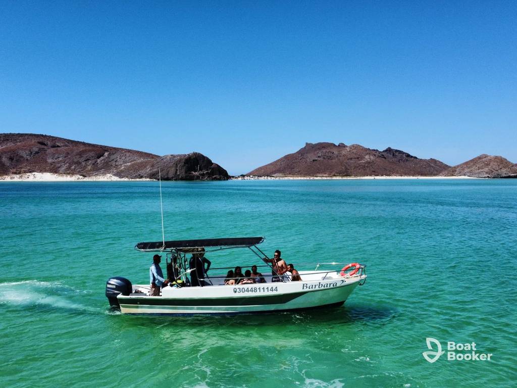 Panga fishing charter heading out on open water near La Paz