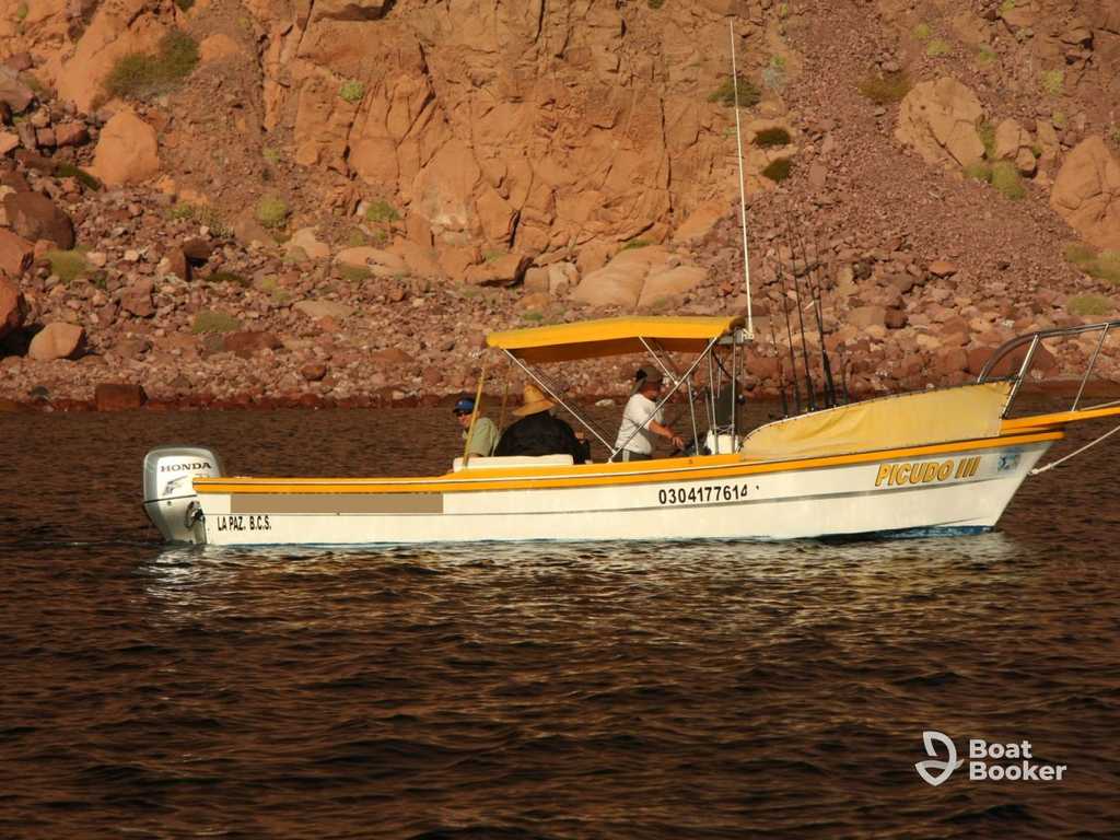 Custom 22-foot panga boat with single outboard motor at dock