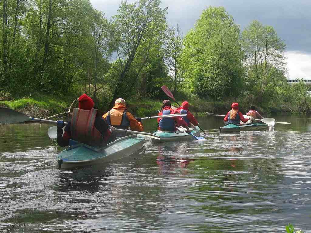 Five people in red life jackets show how to kayak together on a calm river, surrounded by green trees under a cloudy sky.