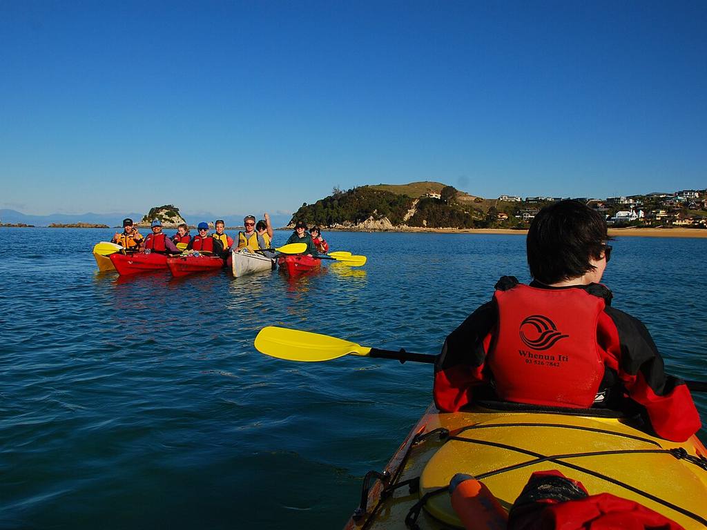 A group of people in red and yellow kayaks paddle on calm water by the shore, showing how to kayak under a clear blue sky.