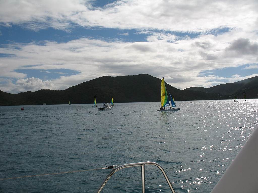 There are several small sailboats with colorful sails on calm water, hills and a cloudy sky behind them. You can see a metal boat railing in the foreground. No fish species are present.