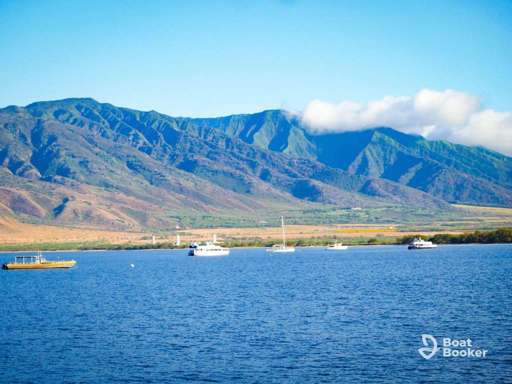 Several boats float on a calm blue sea, green mountains behind them, perfect for island hopping in Hawaii under a clear sky.