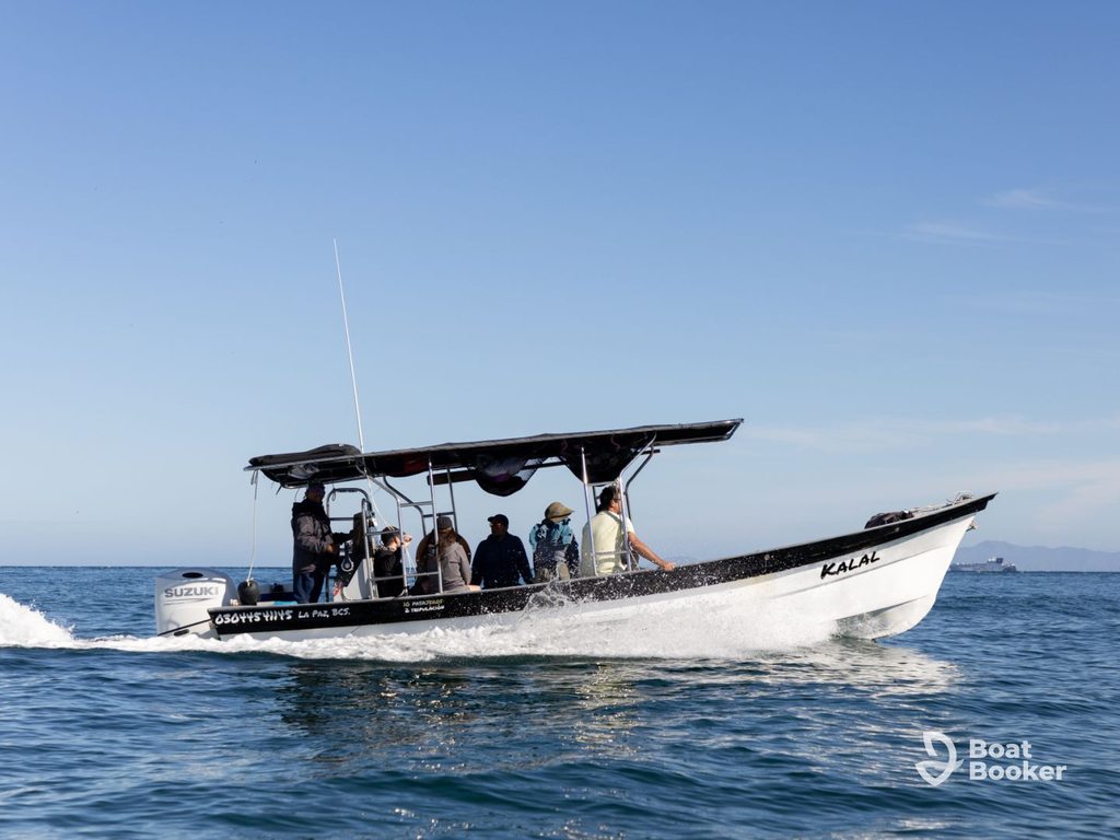 A white motorboat, like a Panga boat, speeds under a canopy across calm blue water with six people aboard. The sky’s clear and sunny.