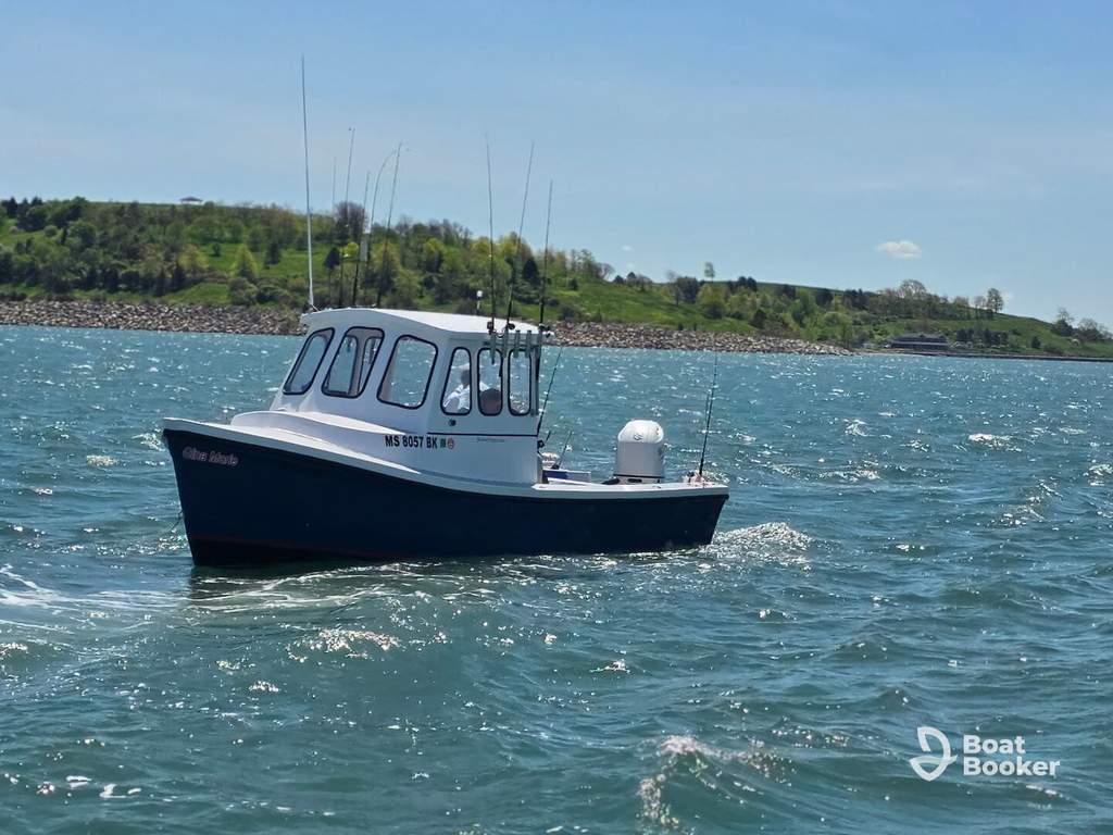 A small fishing boat with antennas sits on the water by a green, tree-lined shore under a partly cloudy sky.